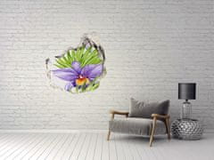 Wallmuralia Nálepka 3D díra na zeď beton Orchidej 75x75 cm