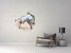 Wallmuralia Díra 3D fototapeta na stěnu Zebry v horách 100x100 cm