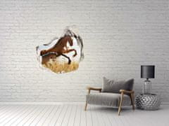 Wallmuralia Díra 3D fototapeta Kobyla s hříbětem 75x75 cm