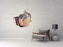 Wallmuralia Fototapeta díra na zeď 3D Svaly 100x100 cm