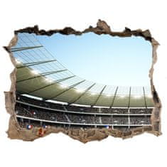 Wallmuralia Fototapeta díra na zeď 3D Stadion Francie 95x64 cm