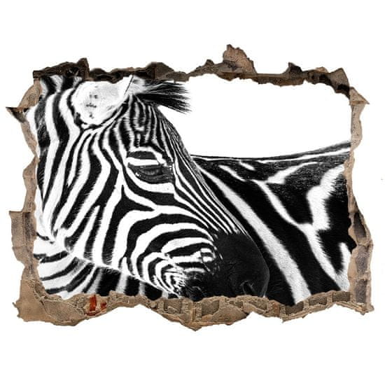 Wallmuralia Díra 3D fototapeta nálepka Zebra na sněhu