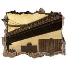 Wallmuralia Fototapeta díra na zeď 3D Manhattan New York 95x64 cm