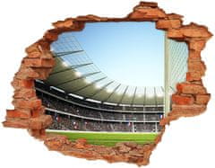 Wallmuralia Fototapeta díra na zeď 3D Stadion Francie 120x93 cm