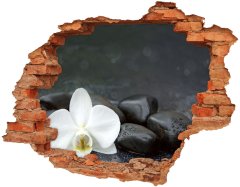 Wallmuralia Samolepící nálepka fototapeta Orchidej 90x70 cm