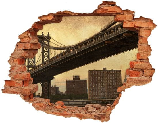 Wallmuralia Fototapeta díra na zeď 3D Manhattan New York