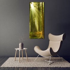 Wallmuralia Vertikální Foto obraz fotografie na skle Slunce v lese 50x125 cm 2 úchytky