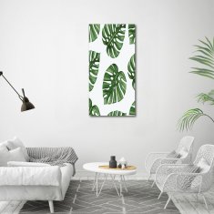 Wallmuralia Vertikální Foto-obrah sklo tvrzené Monstera 60x120 cm 4 úchytky