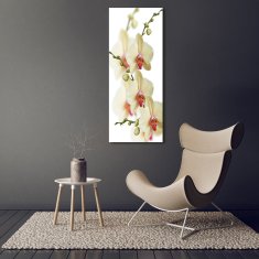 Wallmuralia Vertikální Foto-obrah sklo tvrzené Orchidej 70x140 cm 2 úchytky