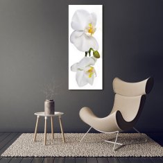 Wallmuralia Vertikální Foto obraz fotografie na skle Bílá orchidej 70x140 cm 4 úchytky