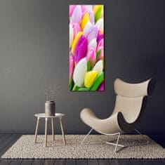 Wallmuralia Vertikální Fotoobraz na skle Barevné tulipány 50x125 cm 2 úchytky