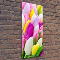 Wallmuralia Vertikální Fotoobraz na skle Barevné tulipány 50x125 cm 2 úchytky