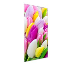 Wallmuralia Vertikální Fotoobraz na skle Barevné tulipány 50x125 cm 2 úchytky