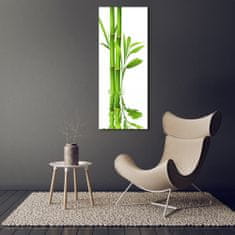 Wallmuralia Vertikální Moderní skleněný obraz z fotografie Bambus 70x140 cm 2 úchytky