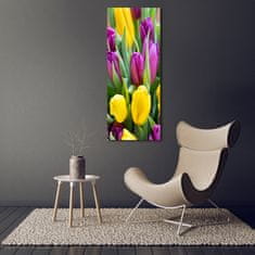 Wallmuralia Vertikální Fotoobraz na skle Barevné tulipány 70x140 cm 2 úchytky