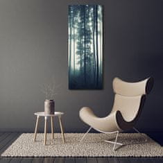 Wallmuralia Vertikální Foto obraz sklo tvrzené Mlha v lese 50x125 cm 4 úchytky