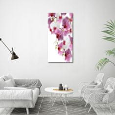 Wallmuralia Vertikální Foto-obrah sklo tvrzené Orchidej 60x120 cm 4 úchytky