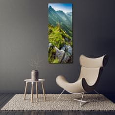 Wallmuralia Vertikální Foto obraz sklo tvrzené Hory létem 50x125 cm 2 úchytky