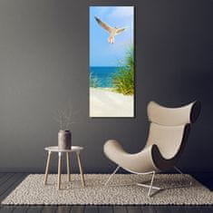 Wallmuralia Vertikální Foto obraz skleněný svislý Méva nad dunami 50x125 cm 4 úchytky