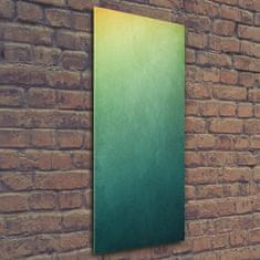 Wallmuralia Vertikální Foto obraz sklo tvrzené Pozadí gradient 50x125 cm 2 úchytky