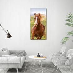 Wallmuralia Vertikální Foto obraz sklo tvrzené Kůň v poklusu 60x120 cm 4 úchytky