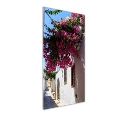 Wallmuralia Vertikální Foto obraz sklo tvrzené Rhodos Řecko 50x125 cm 2 úchytky