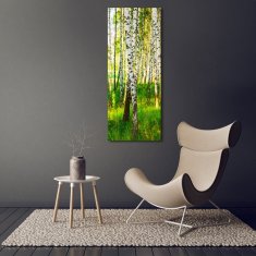 Wallmuralia Vertikální Foto obraz sklo tvrzené Břízový les 70x140 cm 4 úchytky