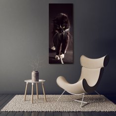 Wallmuralia Vertikální Foto obraz sklo tvrzené Černá kočka 50x125 cm 4 úchytky