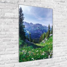 Wallmuralia Vertikální Moderní foto obraz na stěnu Alpy 70x100 cm 2 úchytky