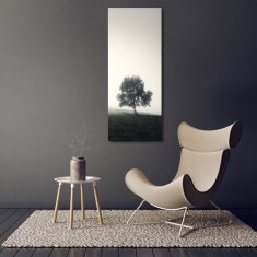 Wallmuralia Vertikální Foto obraz fotografie na skle Dřevo v mlze 70x140 cm 4 úchytky