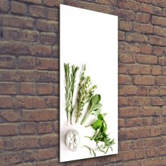 Wallmuralia Vertikální Fotoobraz skleněný na stěnu do obýváku Bylinky 50x125 cm 2 úchytky