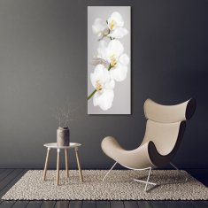 Wallmuralia Vertikální Foto obraz fotografie na skle Bílá orchidej 70x140 cm 4 úchytky