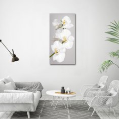 Wallmuralia Vertikální Foto obraz fotografie na skle Bílá orchidej 60x120 cm 2 úchytky