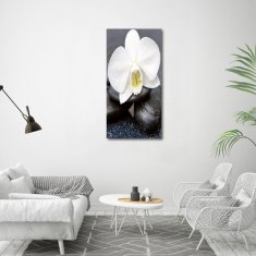 Wallmuralia Vertikální Fotoobraz na skle Orchidej a kameny 60x120 cm 2 úchytky