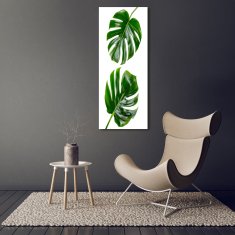 Wallmuralia Vertikální Foto-obrah sklo tvrzené Monstera 50x125 cm 4 úchytky