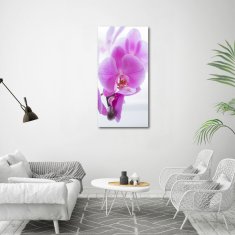 Wallmuralia Vertikální Fotoobraz na skle Růžová orchidej 60x120 cm 2 úchytky