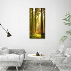 Wallmuralia Vertikální Foto obraz sklo tvrzené Hezký les 60x120 cm 2 úchytky