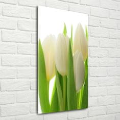 Wallmuralia Vertikální Foto obraz fotografie na skle Bílé tulipány 70x140 cm 4 úchytky