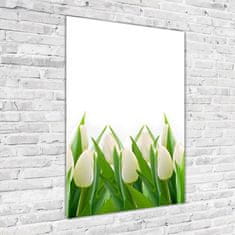 Wallmuralia Vertikální Foto obraz fotografie na skle Bílé tulipány 70x100 cm 2 úchytky