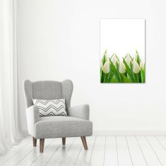 Wallmuralia Vertikální Foto obraz fotografie na skle Bílé tulipány 70x100 cm 2 úchytky