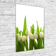 Wallmuralia Vertikální Foto obraz fotografie na skle Bílé tulipány 70x100 cm 2 úchytky