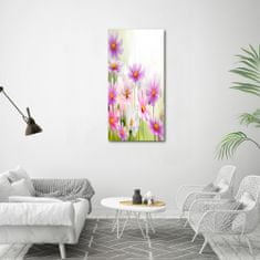 Wallmuralia Vertikální Foto obraz sklo tvrzené Polní květiny 60x120 cm 2 úchytky