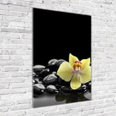 Wallmuralia Vertikální Fotoobraz na skle Orchidej a kameny 70x100 cm 4 úchytky