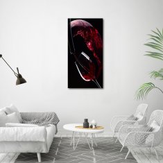 Wallmuralia Vertikální Foto obraz sklo tvrzené Červené víno 60x120 cm 4 úchytky