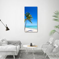 Wallmuralia Vertikální Foto obraz skleněný svislý Tropická pláž 60x120 cm 2 úchytky