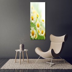 Wallmuralia Vertikální Foto obraz sklo tvrzené Sedmikrásky 70x140 cm 4 úchytky