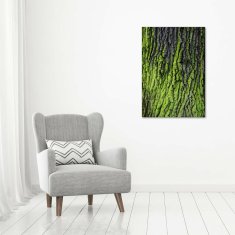 Wallmuralia Vertikální Foto obraz sklo tvrzené Kůra stromu 70x100 cm 2 úchytky