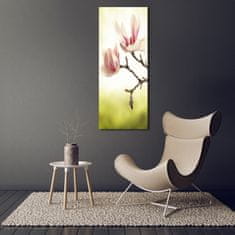 Wallmuralia Vertikální Fotoobraz na skle Květy magnolie 50x125 cm 2 úchytky