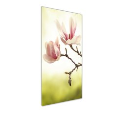 Wallmuralia Vertikální Fotoobraz na skle Květy magnolie 50x125 cm 2 úchytky