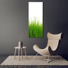 Wallmuralia Vertikální Foto obraz sklo tvrzené Zelená tráva 50x125 cm 2 úchytky